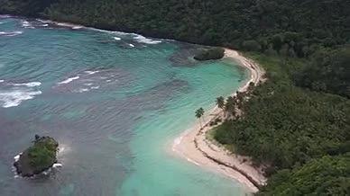 合集椰树沙滩海岸海水航拍视频的预览图